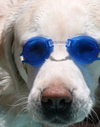 molly_goggles.jpg